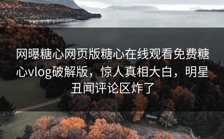 网曝糖心网页版糖心在线观看免费糖心vlog破解版，惊人真相大白，明星丑闻评论区炸了