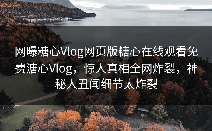 网曝糖心Vlog网页版糖心在线观看免费溏心Vlog，惊人真相全网炸裂，神秘人丑闻细节太炸裂